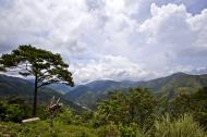 Asisbiz Benguet Nueva Vizcaya Rd mountain views of Bokod Benguet province Philippines Aug 2011 22