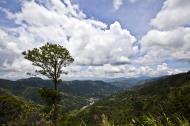 Asisbiz Benguet Nueva Vizcaya Rd mountain views of Bokod Benguet province Philippines Aug 2011 23