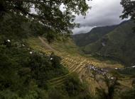 Asisbiz Banaue Batad Rice Terraces Ifugao Province Philippines Aug 2011 34