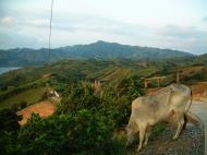 Asisbiz Philippines Batanes Batan Island Basco Picturesque Batanes hills 04