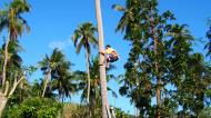 Asisbiz Attaching the guide rope and removing the top Tabinay Oriental Mindoro Philippines 02