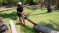 Asisbiz Step by step guide on how to cut straight using chainsaw to produce coco lumber Philippines 01