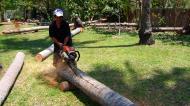 Asisbiz Step by step guide on how to cut straight using chainsaw to produce coco lumber Philippines 05