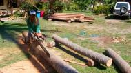 Asisbiz The master shows step by step how to cut straight using chainsaw to produce coco lumber Philippines 03