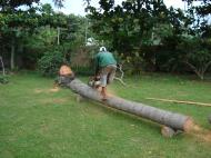 Asisbiz Turning logs into useful lumber beams note the safety equipment but what skill Tabinay Philippines 01