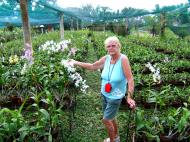 Asisbiz Cebu Moalboal Orchid Farm Dec 2005 07