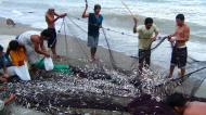 Asisbiz Locals working together to bring in the catch of the day Varadero Bay Tabinay Philippines 16