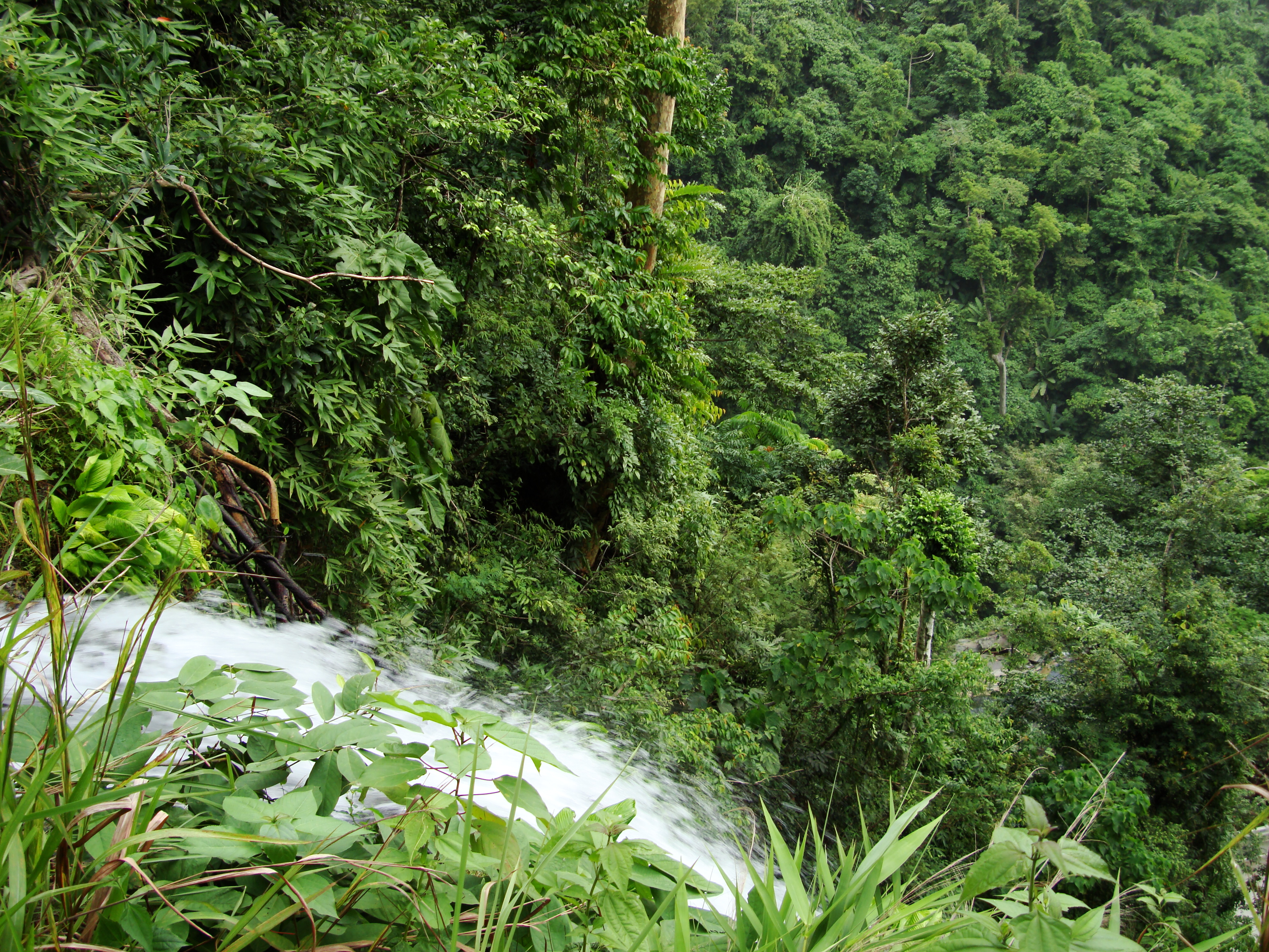 Asisbiz Local tourist hangout Tamaraw Falls Tukuran River Oriental