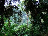 Asisbiz Local tourist hangout Tamaraw Falls Tukuran River Oriental Mindoro Philippines 06