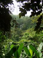 Asisbiz Local tourist hangout Tamaraw Falls Tukuran River Oriental Mindoro Philippines 07