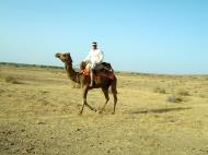 Asisbiz Camel Safari India Rajasthan Jaisalmer 05