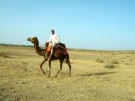 Asisbiz Camel Safari India Rajasthan Jaisalmer 06