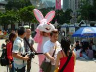 Asisbiz Pink Rabbit Hong Kong 01