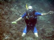 Asisbiz Dive 28 Philippines Mindoro Verdi Island June 2005 36
