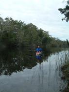 Asisbiz Canoeing Australia Queensland National Park Everglades Kayak 04