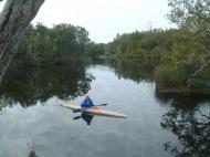 Asisbiz Canoeing Australia Queensland National Park Everglades Kayak 10