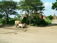 Asisbiz Myanmar Pagan Bullock Cart 200410 02