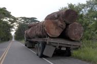 Asisbiz Panama Transport Truck broken down after a blown tyre 200406 02