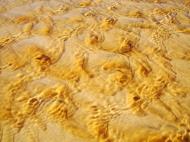 Asisbiz Textures Beach Sand Water Ripple Efects Marcus Beach 09