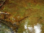 Asisbiz Textures Water Refections Nature Creek 11