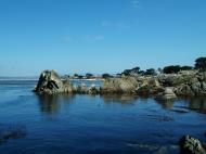 Asisbiz Textures saltwater Monterey Carmel seashore Marine life 08
