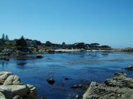 Asisbiz Textures saltwater Monterey Carmel seashore Marine life 15