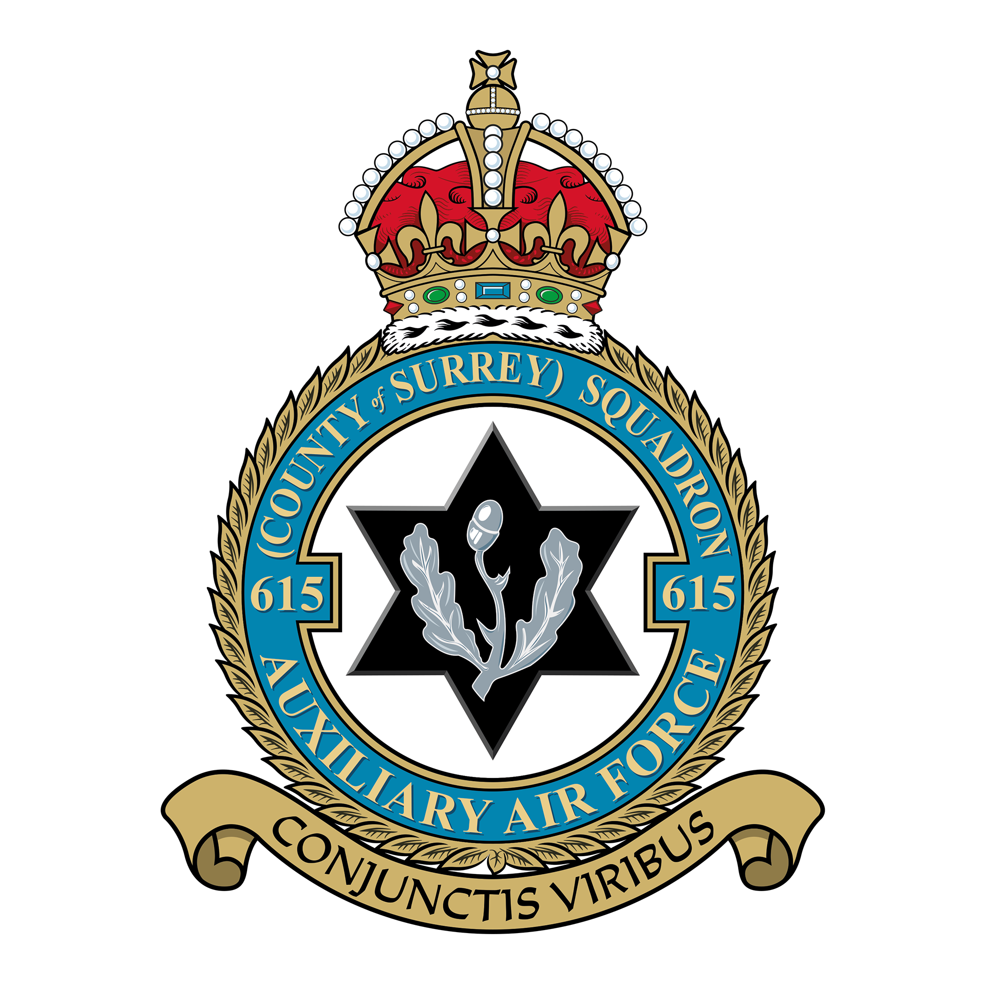 RAF No. 615sqn Crest
