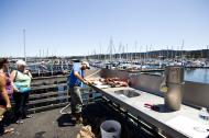 Asisbiz Old Fishermans Grotto Wharf fisherman processing the days catch Monterey CA 01