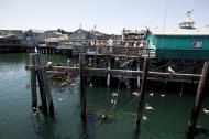 Asisbiz Old Fishermans Grotto Wharf restaurants viewd from the Marina Monterey CA 04