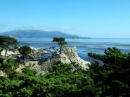 Asisbiz USA California Monterey Pebble Beach the Lone Cypress Aug 2004 03