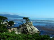 Asisbiz USA California Monterey Pebble Beach the Lone Cypress Aug 2004 04