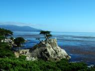 Asisbiz USA California Monterey Pebble Beach the Lone Cypress Aug 2004 05