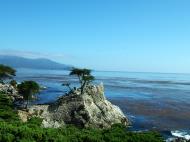 Asisbiz USA California Monterey Pebble Beach the Lone Cypress Aug 2004 06