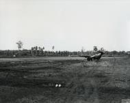 Asisbiz Douglas A 20 Havoc 5AF coded W on its nose at Saidor airbase in New Guinea 8th Feb 1944 FRE11367