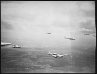 Asisbiz RAAF Avro Anson A4 5 in a formation flight over the Richmond Sydney area NSW Australia 0