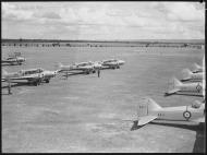 Asisbiz RAAF Avro Anson line up with A4 1 A4 16 A4 17 A4 9 A4 6 n A4 36 Mascot Richmond 1940 01