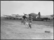 Asisbiz RAAF Lockheed Ventura 13Sqn A59 4 ex USAAF 41 38060 guarded by AF guard dogs 15th Sep 1944 01