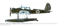 Asisbiz Arado Ar 196A2 5.BoFlGr196 6W+EN Aalborg Denmark 1941 0A