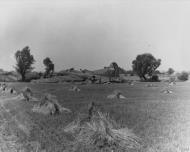 Asisbiz 42 30157 B 17F Fortress 8AF 91BG323BS ORP overshot the runway on landing Bassingbourn 28th July 1943 FRE3679