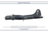 Asisbiz 44 8187 B 17G Fortress 15AF 99BG346BS PFI at Tortorella 1944 profile by Clavework 0A