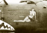 Asisbiz 42 100269 B 24J Liberator 14AF 308BG375BS Available nose art left side China 01