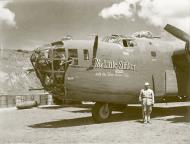 Asisbiz 42 40413 B 24D Liberator 14AF 308BG375BS The Little Stinker nose art left side China 01