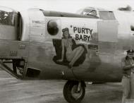 Asisbiz 44 40299 B 24J Liberator 15AF 376BG515BS 99 Purry Baby nose art left side FRE9052