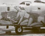 Asisbiz 44 40429 B 24J Liberator 5AF 43BG64BS Michigan nose art left side New Guinea 01