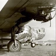 Asisbiz 44 40973 B 24J Liberator 5AF 43BG64BS The Dragon and His Tail nose art right side Kingman USA 1947