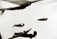 Asisbiz Consolidated B 24 Liberators 8AF 445BG fly in a tight box formation FRE8105