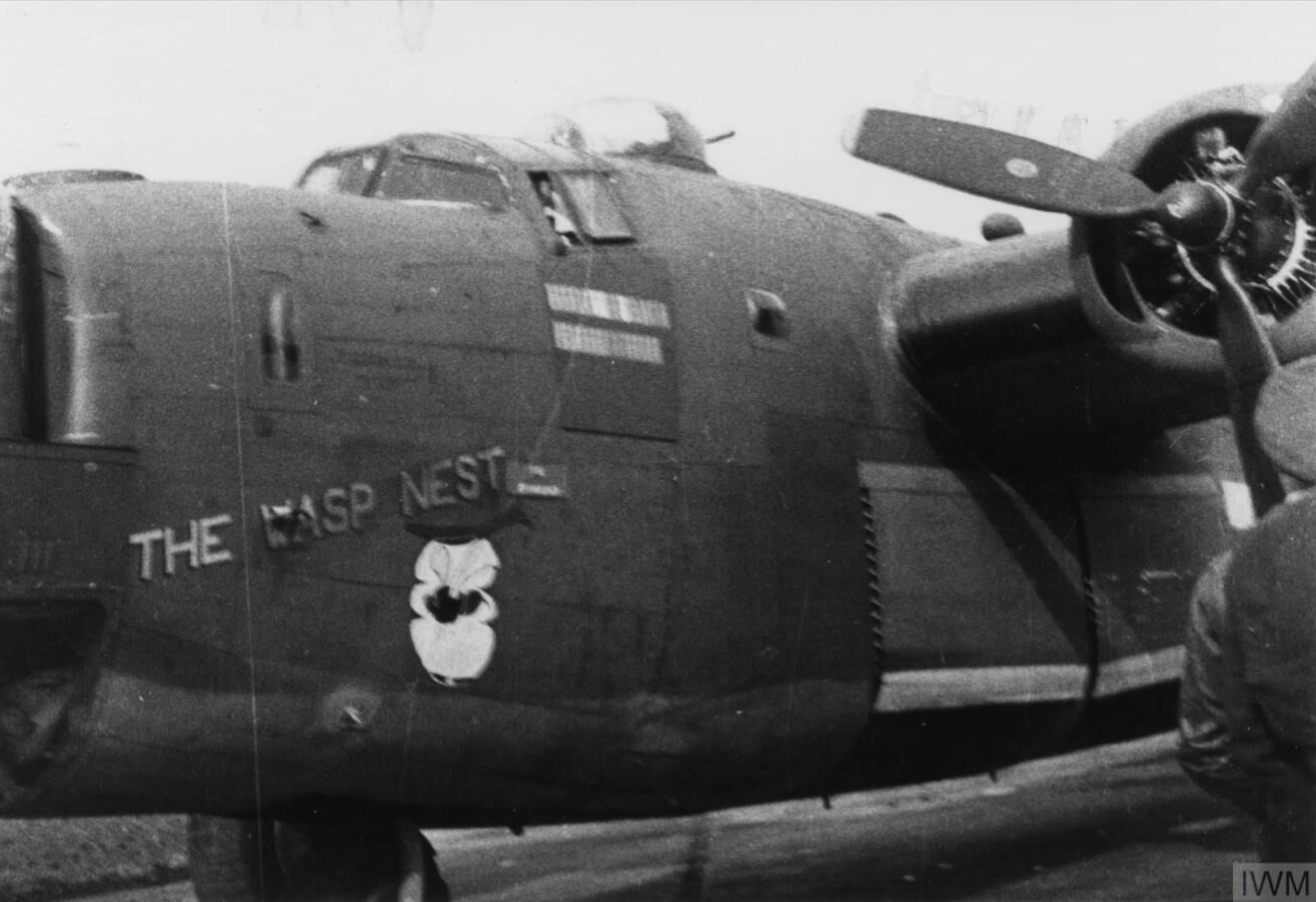 Asisbiz 42 109820 B-24J Liberator 8AF 44BG67BS NBN The Wasp Nest Nose ...