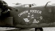 Asisbiz 42 78102 B 24G Liberator 15AF 451BG726BS 45 Cannon Fodder nose art 01