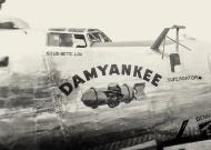 Asisbiz 42 78414 B 24G Liberator 15AF 451BG724BS 20 Boots and His Buddies aka Damyankee nose art right side 01