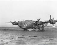 Asisbiz 41 29458 B 24H Liberator 15AF 464BG779BS Shoo Shoo Baby nose art left side 25th May 1945 02